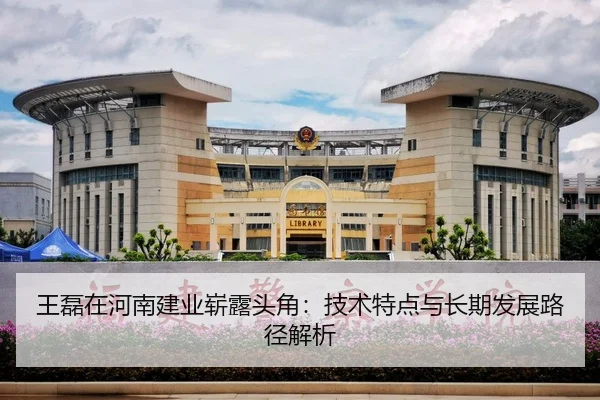 王磊在河南建业崭露头角：技术特点与长期发展路径解析
